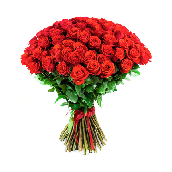 Rose 2